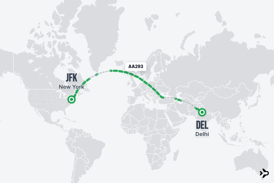 AA293 flight map from DEL to JFK